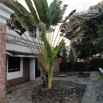 фото из отзыва ID 1477057