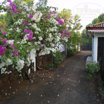 фото из отзыва ID 1477057