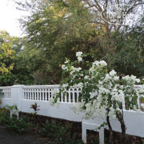 фото из отзыва ID 1477057