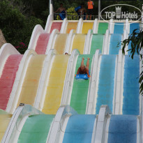 фото из отзыва ID 1477237