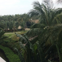 фото из отзыва ID 1477331