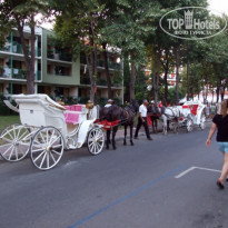 фото из отзыва ID 1477342