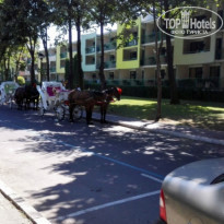 фото из отзыва ID 1477342