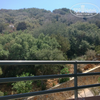 фото из отзыва ID 1477352