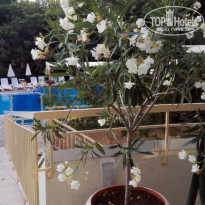 фото из отзыва ID 1477355