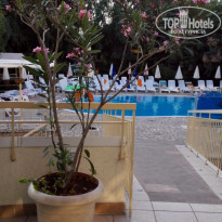 фото из отзыва ID 1477355