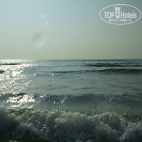 фото из отзыва ID 1477355