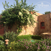 фото из отзыва ID 1477407