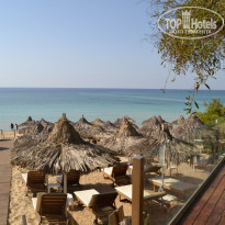 фото из отзыва ID 1477439