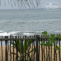 фото из отзыва ID 1477494