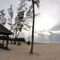 фото из отзыва ID 1477503