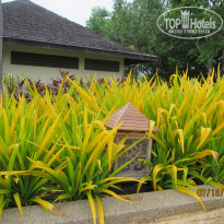 фото из отзыва ID 1477503