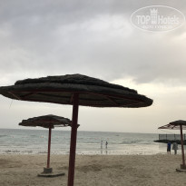 фото из отзыва ID 1477505