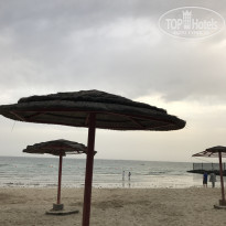 фото из отзыва ID 1477505