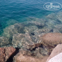 фото из отзыва ID 1477511