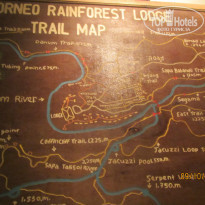 фото из отзыва ID 1477398