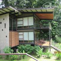 фото из отзыва ID 1477398