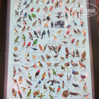 фото из отзыва ID 1477398