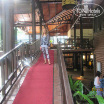 фото из отзыва ID 1477398