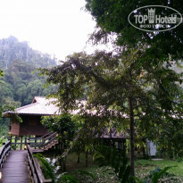 фото из отзыва ID 1477398