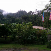 фото из отзыва ID 1477398