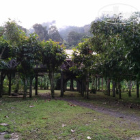 фото из отзыва ID 1477398