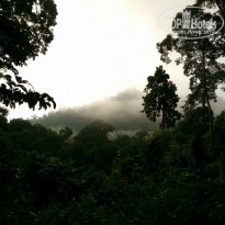 фото из отзыва ID 1477398