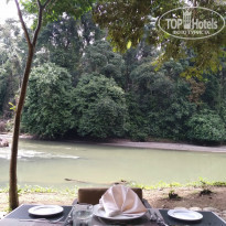 фото из отзыва ID 1477398