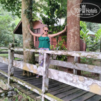 фото из отзыва ID 1477398