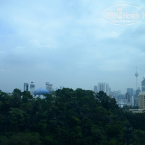 фото из отзыва ID 1477535