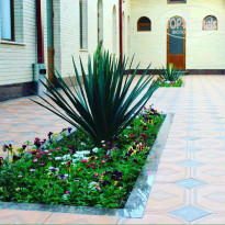 фото из отзыва ID 1477583