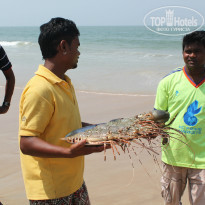 фото из отзыва ID 1477588