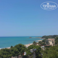 фото из отзыва ID 1477656