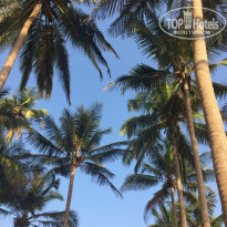 фото из отзыва ID 1477807