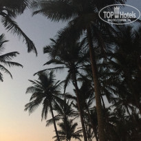 фото из отзыва ID 1477807