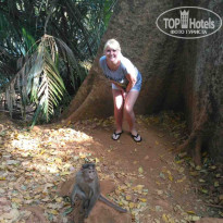 фото из отзыва ID 1477807