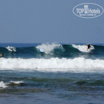 фото из отзыва ID 1477815