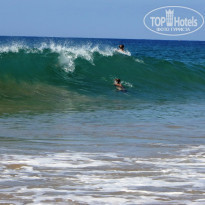 фото из отзыва ID 1477815