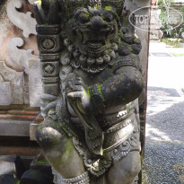 фото из отзыва ID 1477910