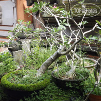 фото из отзыва ID 1477910