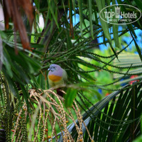 фото из отзыва ID 1477956