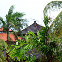 фото из отзыва ID 1477956