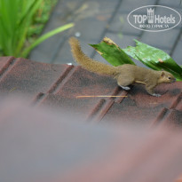 фото из отзыва ID 1477956