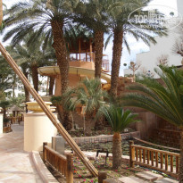 фото из отзыва ID 1478001