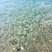 фото из отзыва ID 1478034