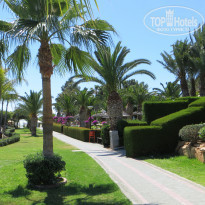 фото из отзыва ID 1478122