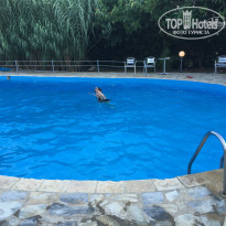 фото из отзыва ID 1477814