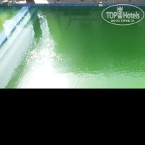 фото из отзыва ID 1478133