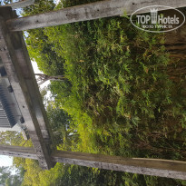 фото из отзыва ID 1478183