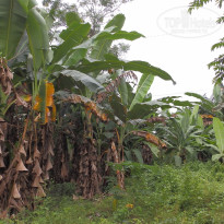 фото из отзыва ID 1478220